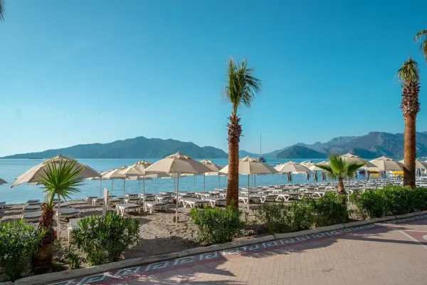 Begonville Beach 4*, фото 1