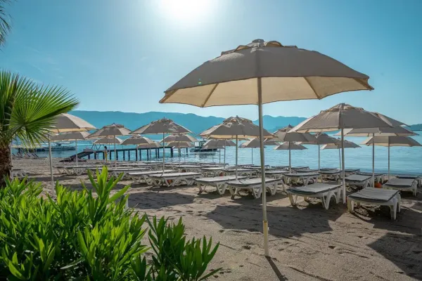 Begonville Beach 4*, фото 4
