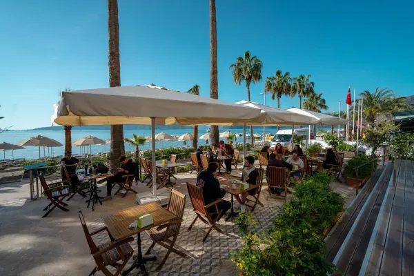 Begonville Beach 4*, фото 8