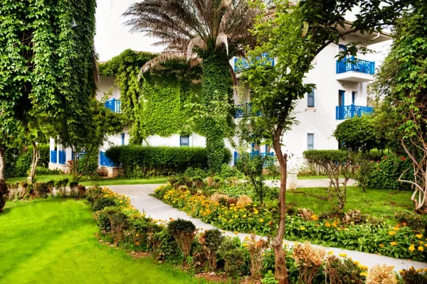 Belconti Resort 5*, фото 2