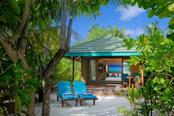 Canareef Resort 4*, фото 15