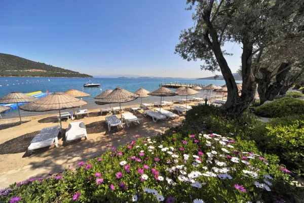 Izer Hotel Beach Club 4*, фото 11