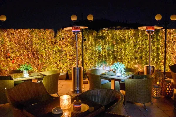 Divani Palace Acropolis 5*, фото 12
