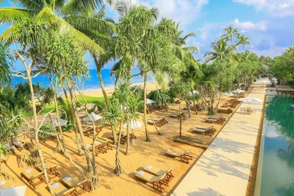 Pandanus Beach Resort and Spa 4*, фото 4