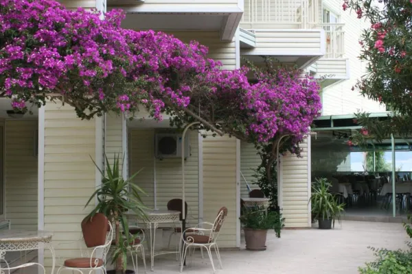 Flamingo 4*