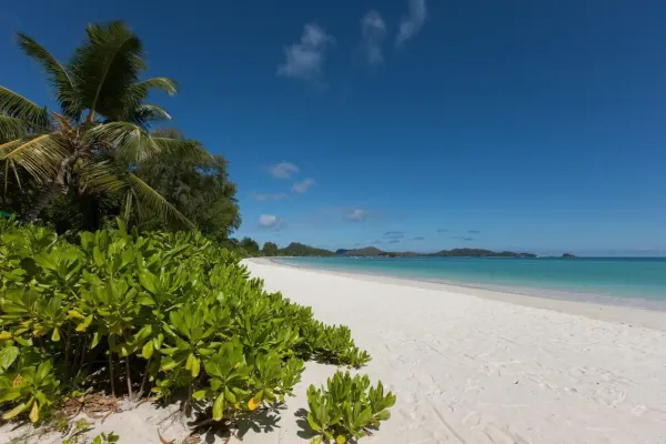 Acajou Beach Resort 4*
