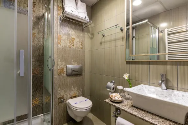 Hotel Arcadia Blue Istanbul 4*, фото 4