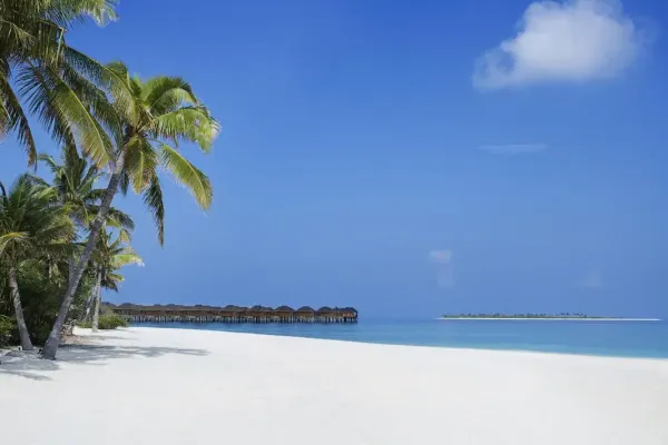 JA Manafaru 5*