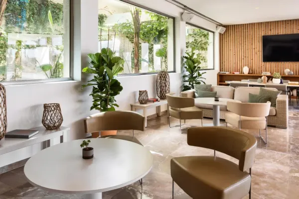 Melia Calvia Beach 4*, фото 2