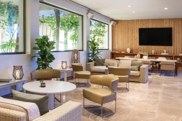Melia Calvia Beach 4*, фото 3