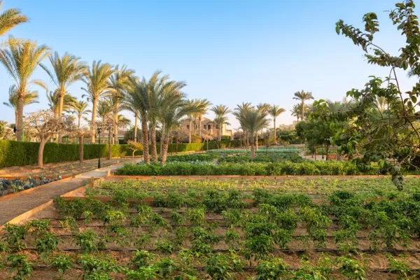 Movenpick Resort El Quseir 5*, фото 11