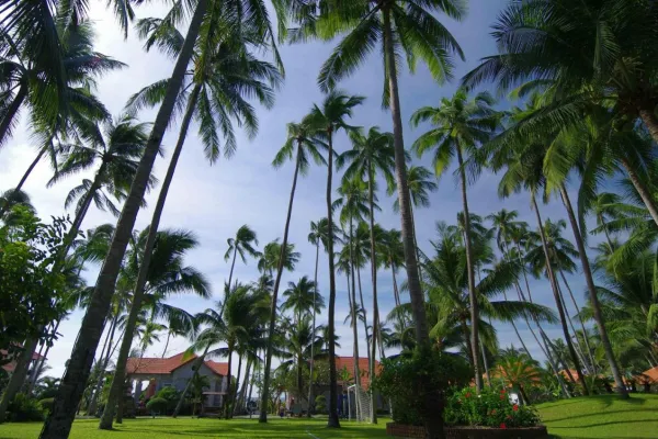 MUINE DE CENTURY RESORT 4*, фото 4