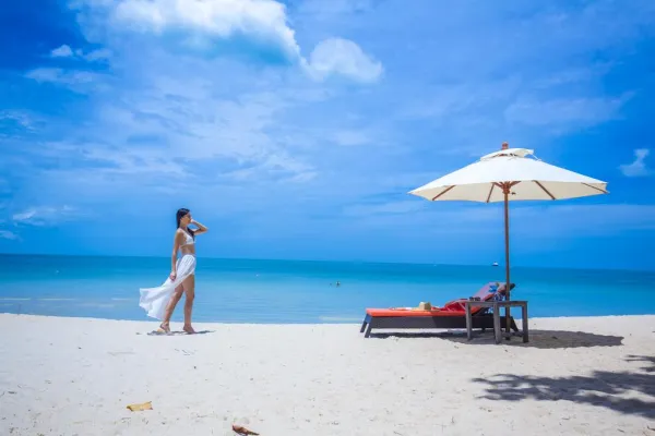 New Star Beach Resort 4*, фото 2