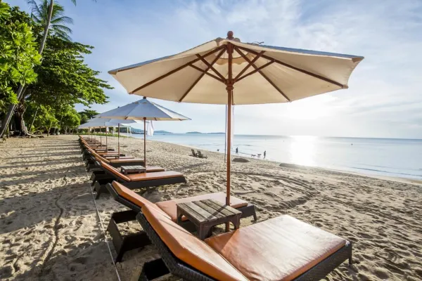 New Star Beach Resort 4*, фото 6