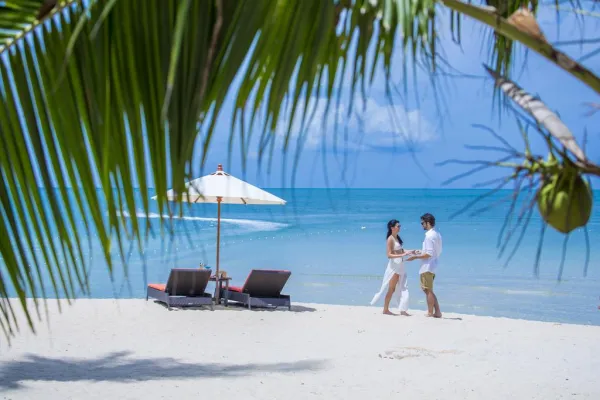 New Star Beach Resort 4*, фото 10
