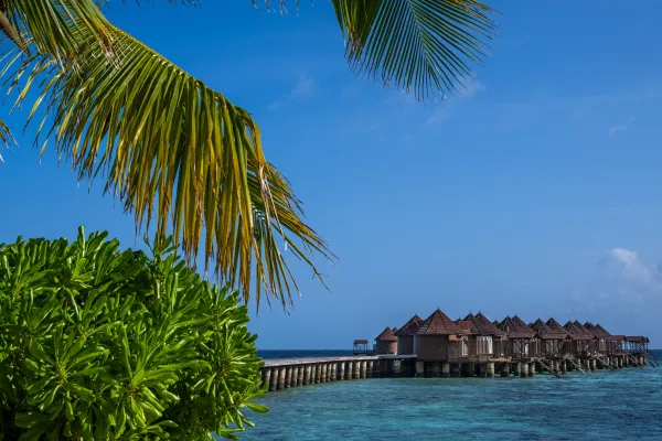 Nika Island Resort 5*, фото 13