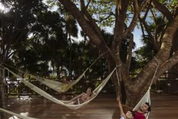Occidental at Xcaret Destination 5*, фото 3