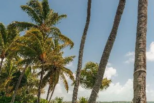 One&Only le Saint Geran 5*, фото 12