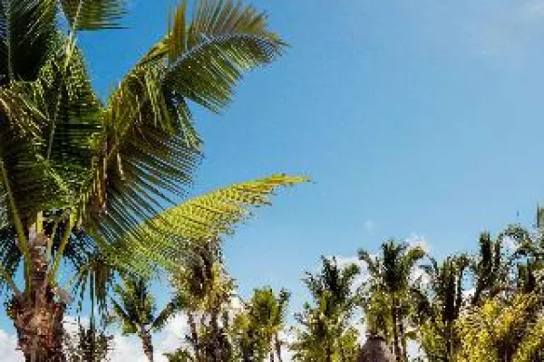 One&Only le Saint Geran 5*, фото 13