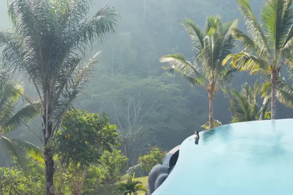 Padma Ubud 5*, фото 1