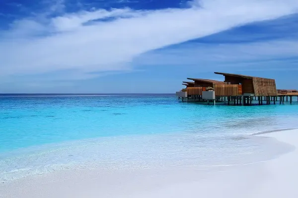 Park Hyatt Maldives Hadahaa 5*, фото 3