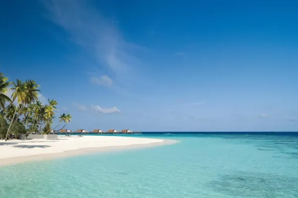 Park Hyatt Maldives Hadahaa 5*, фото 4