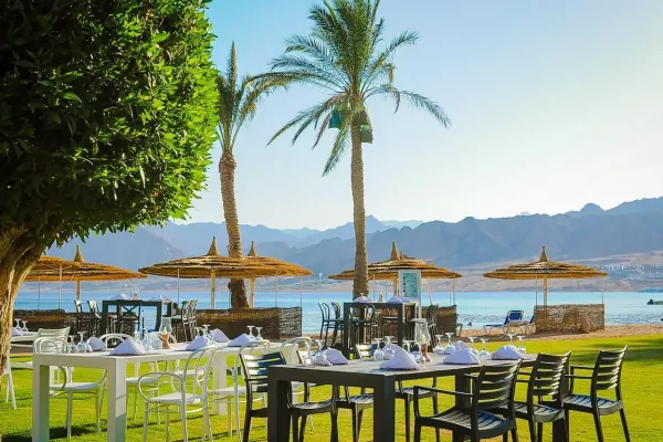 Safir Dahab Resort 5*, фото 16