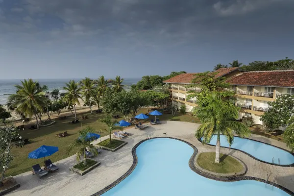 The Palms 4*