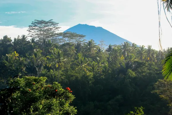 The Payogan Villa & Spa 4*