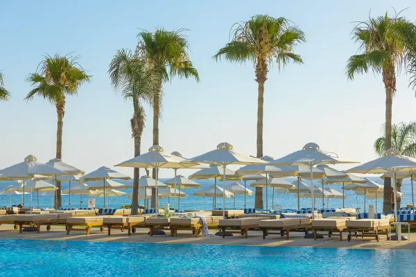 Constantinos The Great Beach 5*, фото 4