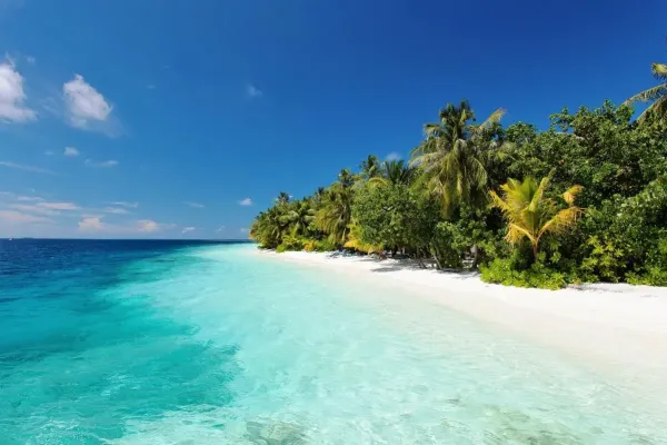 Vilamendhoo Island Resort 4*, фото 2