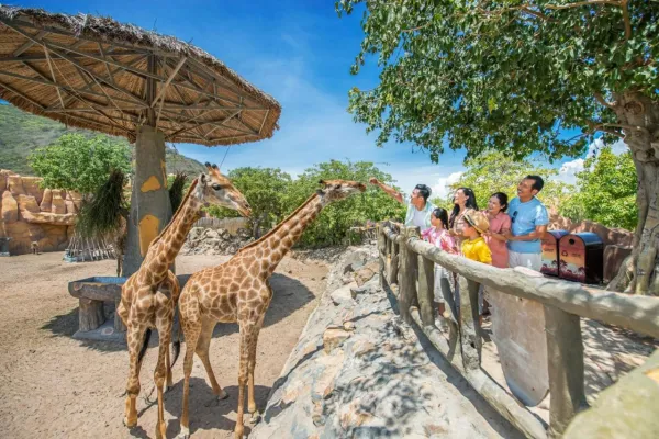 Vinpearl Resort Nha Trang 5*, фото 12