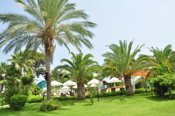 Zena Resort 5*, фото 6