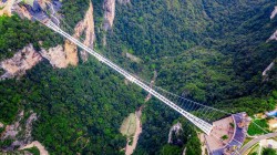 Экскурсионный тур в Китай «Горы Аватар, Чэнду, Чунцин и панды» — фото